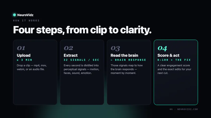NeuroVidz screenshot 8