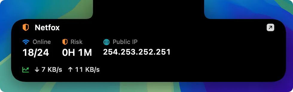 Netfox gallery image