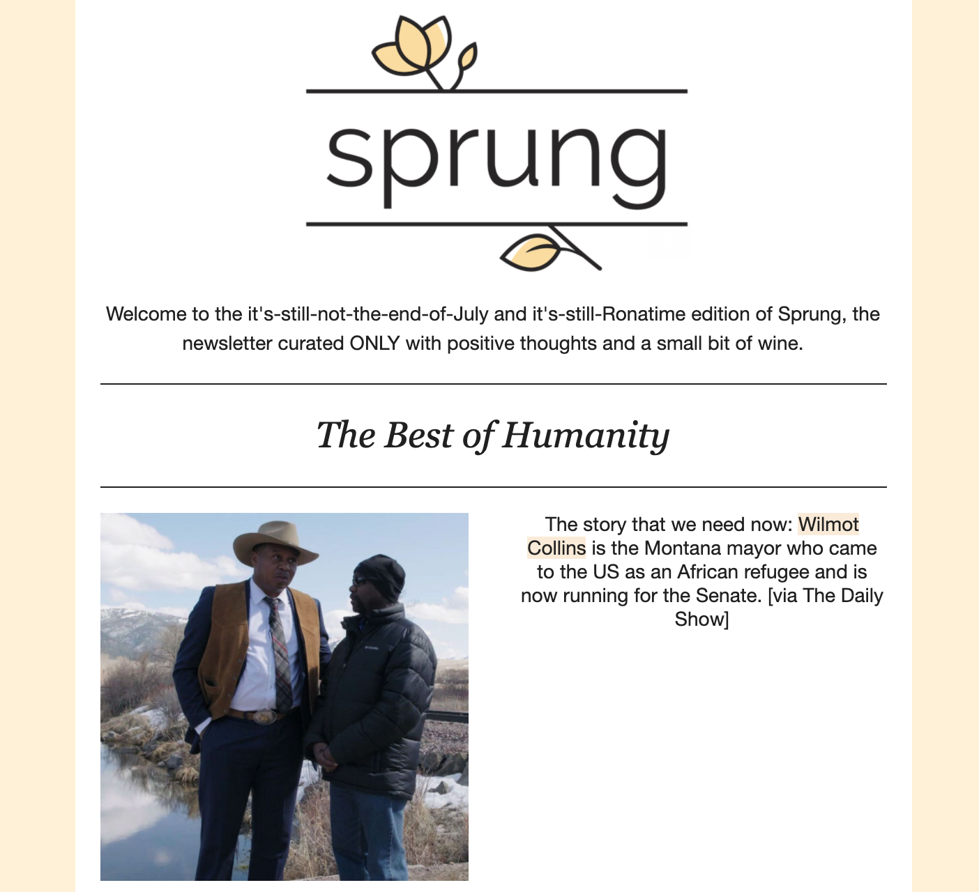 Sprung gallery image