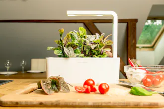 Click & Grow Smart Gardens gallery image