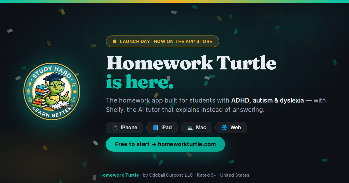 Homework Turtle gallery image