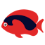RedPhish