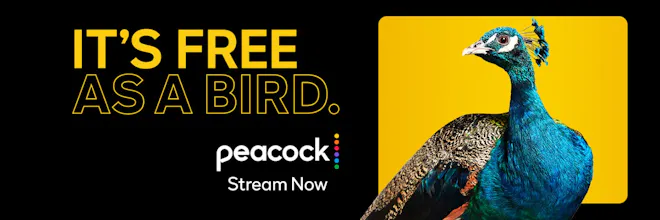 Peacock gallery image
