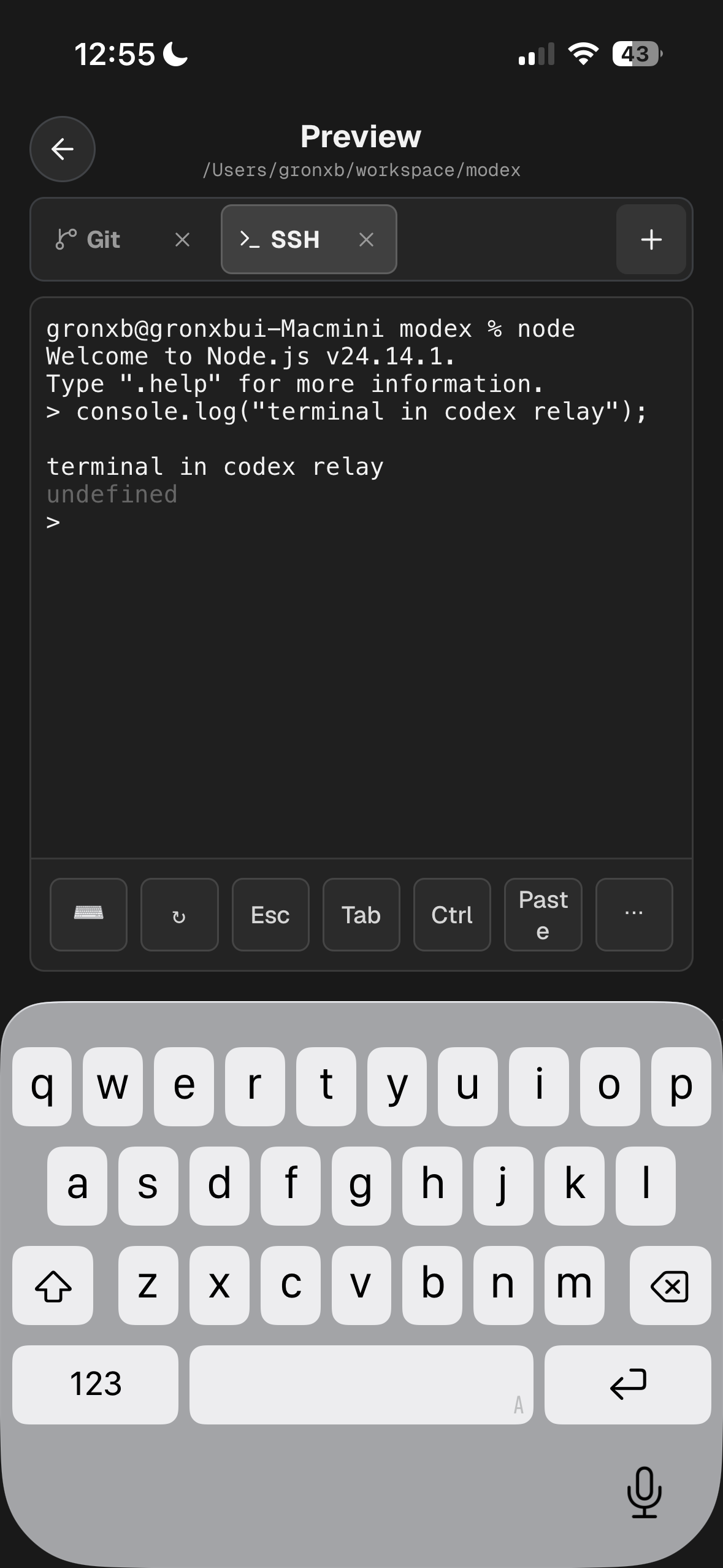 Codex Relay gallery image