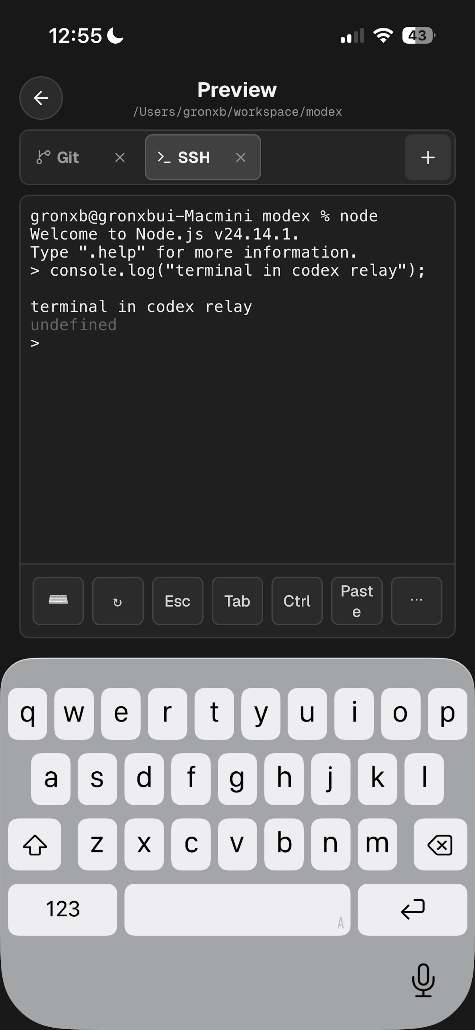 Codex Relay screenshot 3
