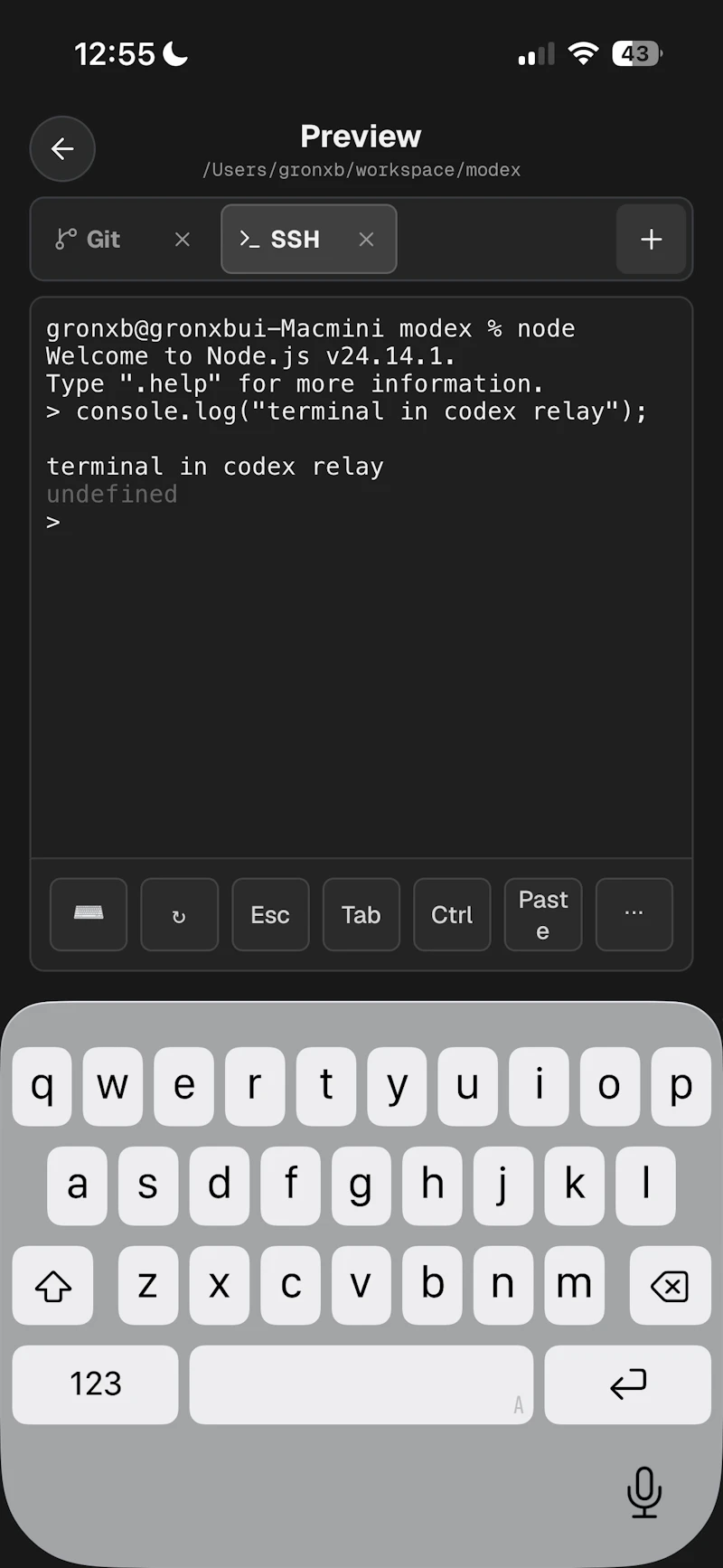 Codex Relay screenshot 3