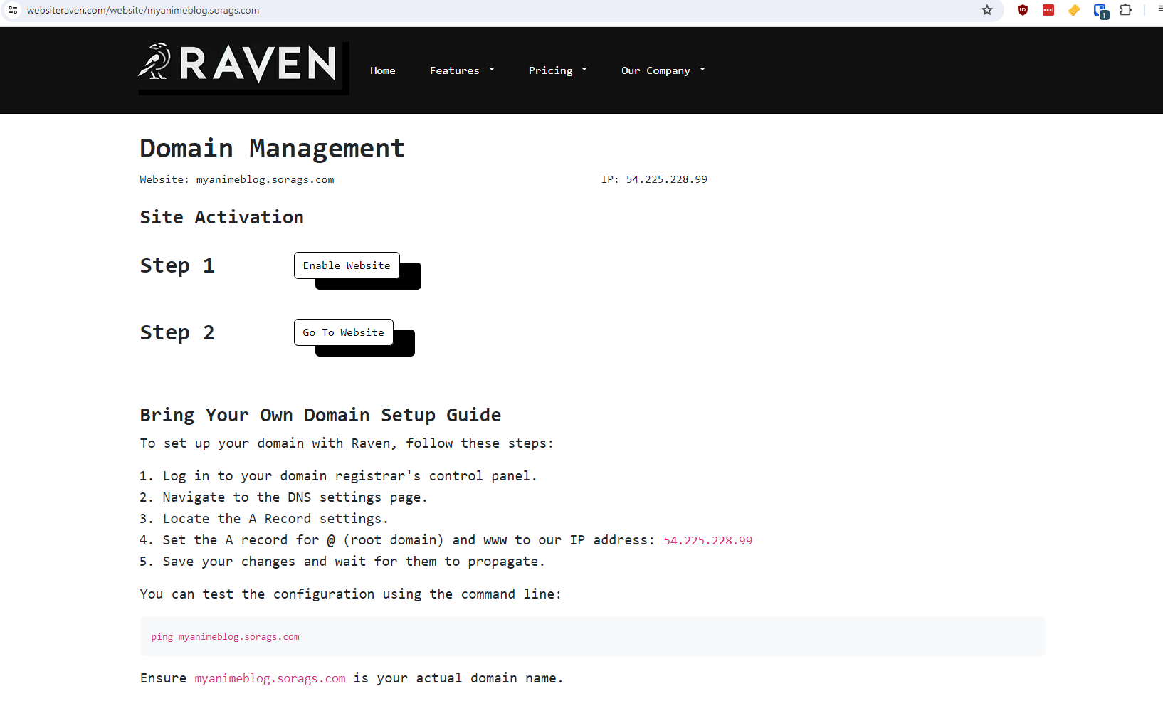 Web Sitesi Raven media 4