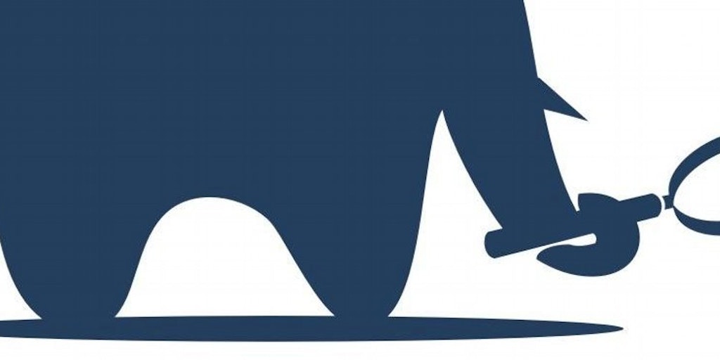 Mighty Signal Image