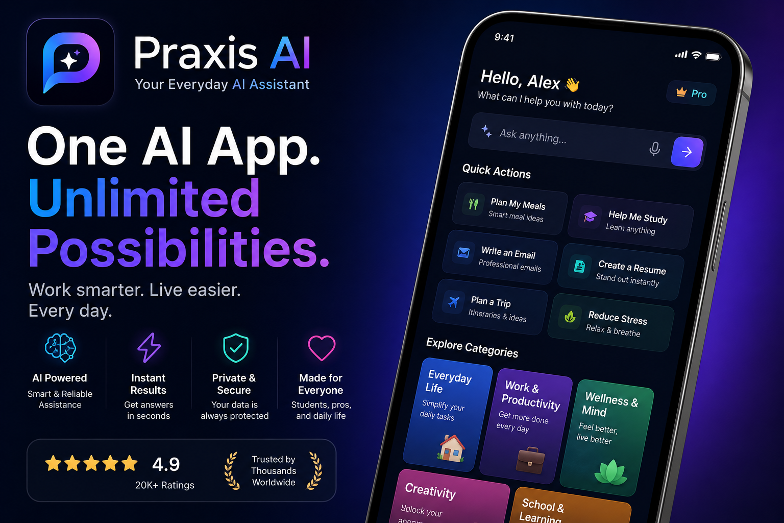 Praxis AI 1.0 gallery image