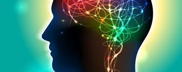 brain and behavior research foundation