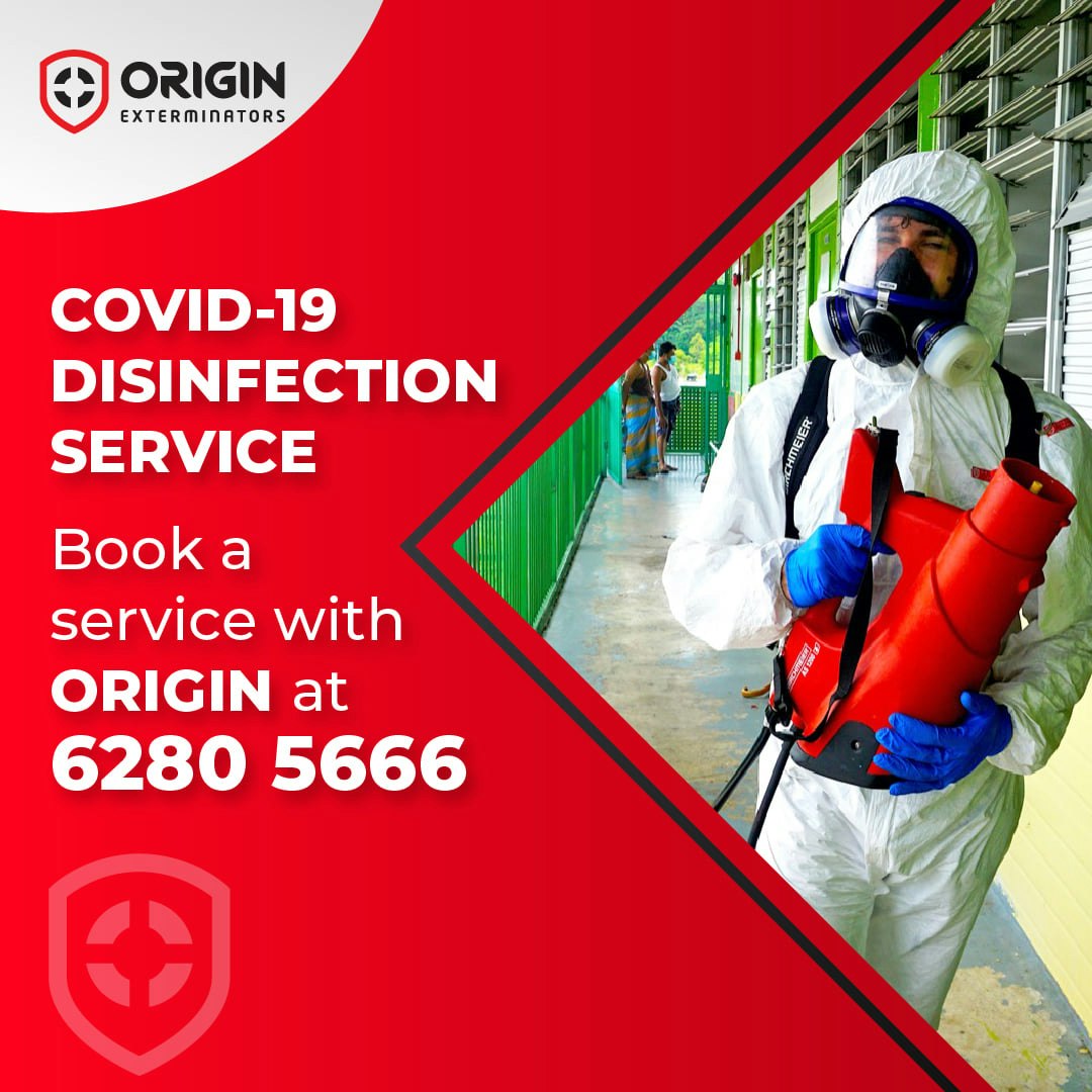 Pest Control Services Singapore gallery image