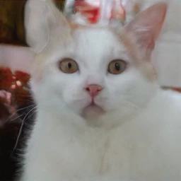 This Cat Does Not Exist Image