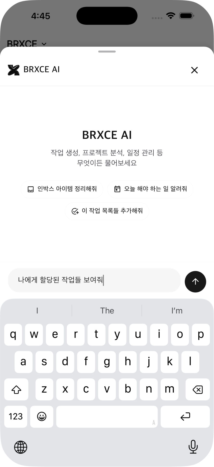 BRXCE gallery image