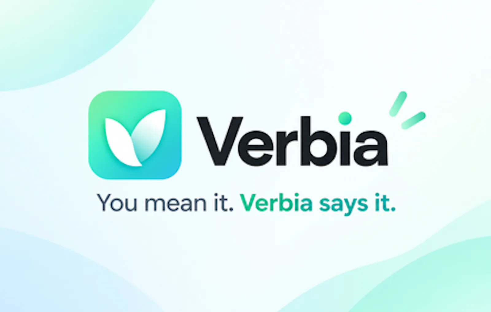 Verbia screenshot 2