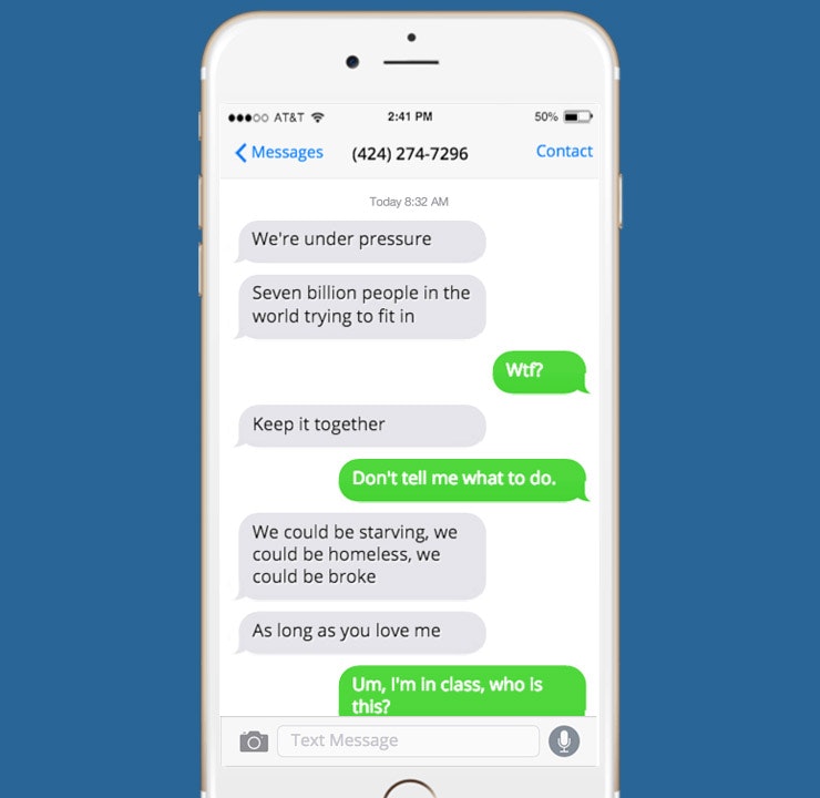 Bieber Bomb gallery image