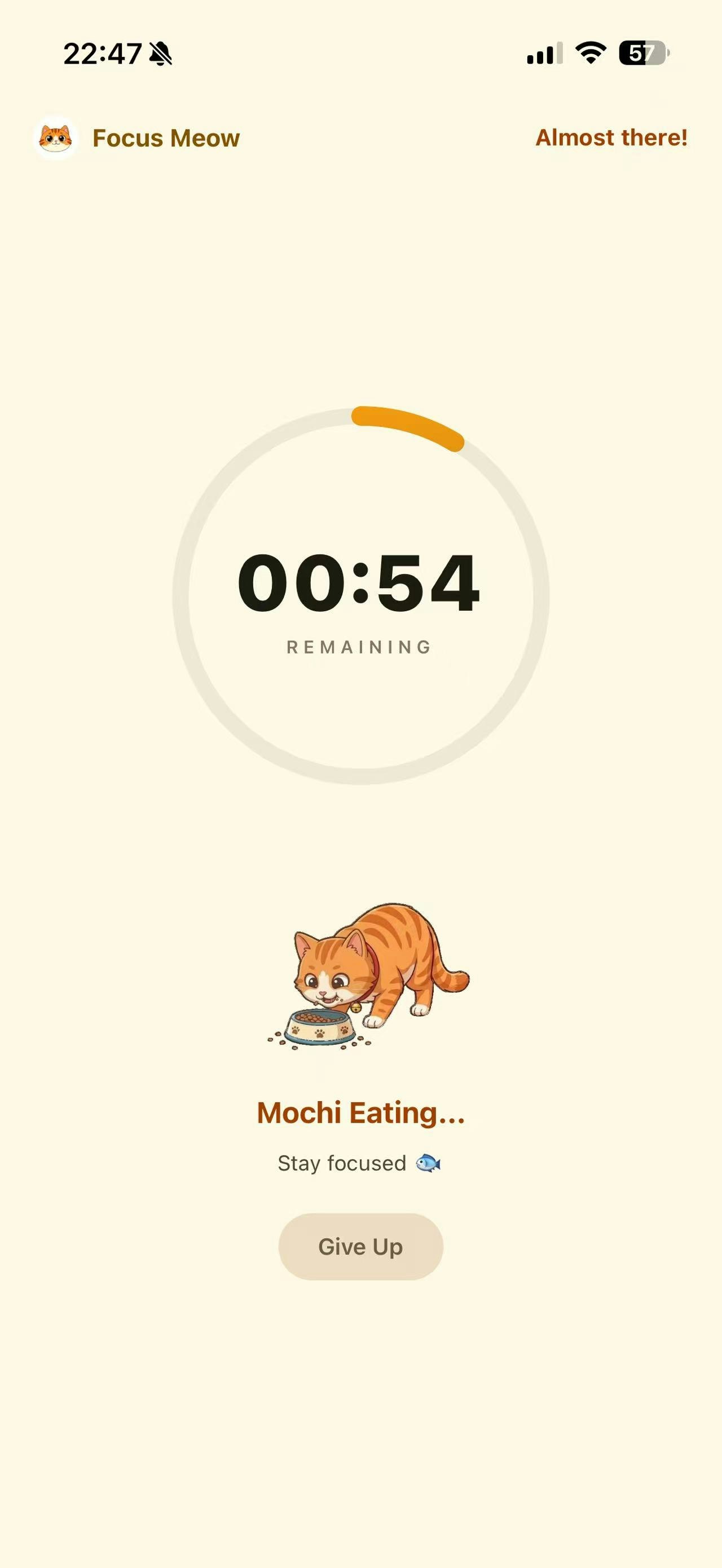 Focus Meow gallery image