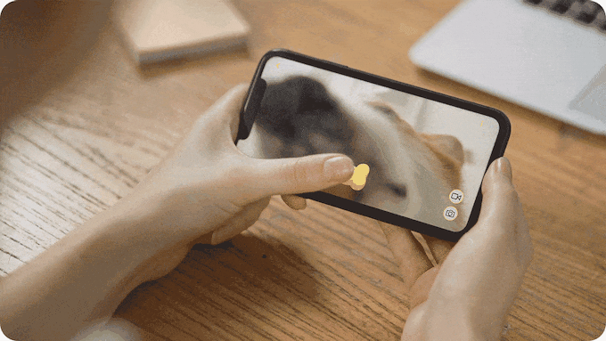 Media Guluu - Xử lý máy ảnh FaceTime thú cưng đi kèm với 24/7 7