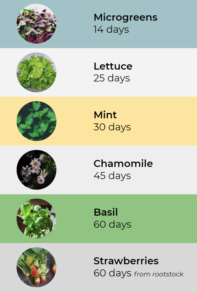 Herbitat gallery image