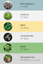 Herbitat gallery image