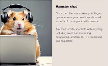 Hamster IQ gallery image
