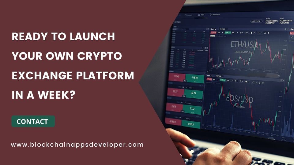 PancakeSwap clone Script gallery image