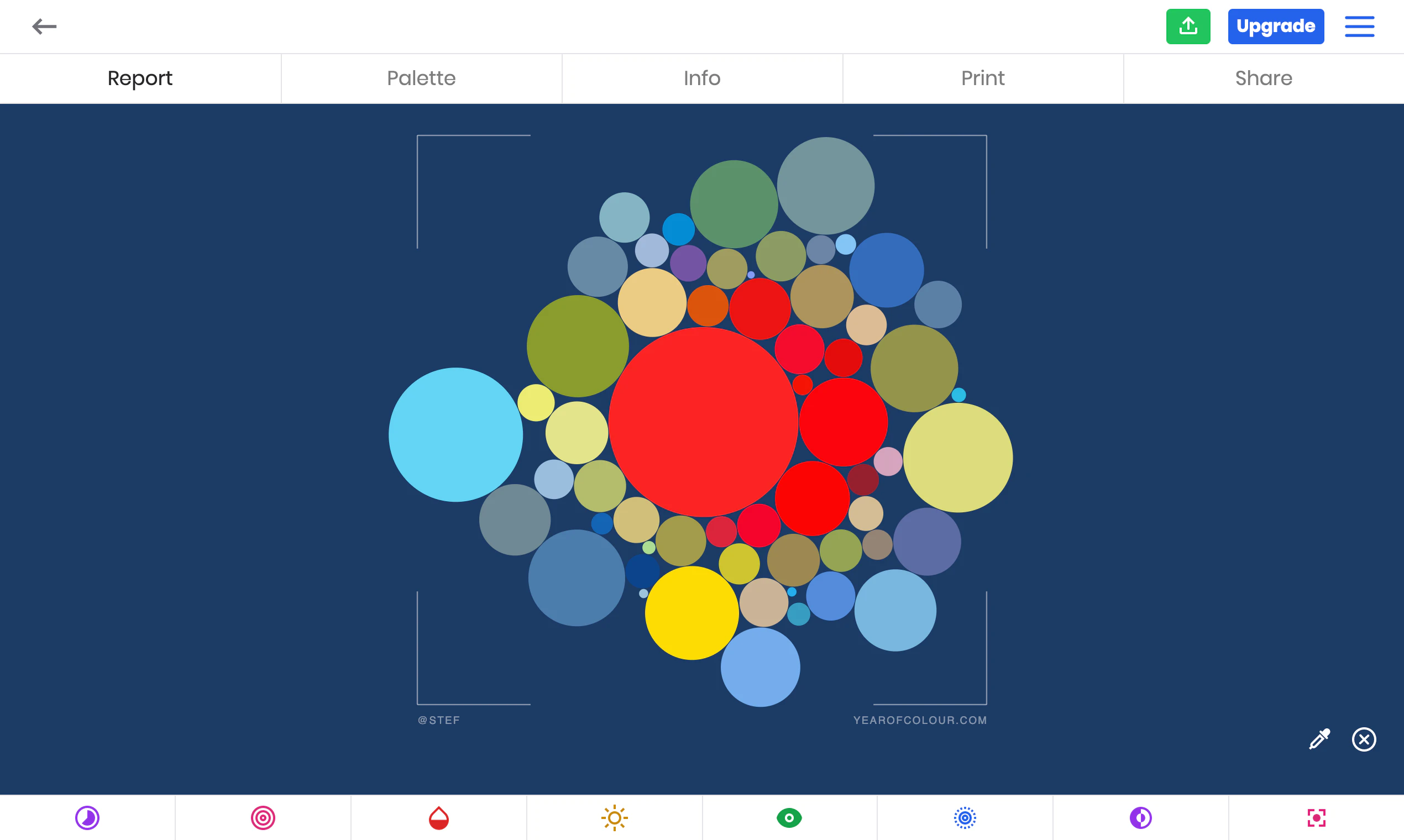 Year of Colour Image