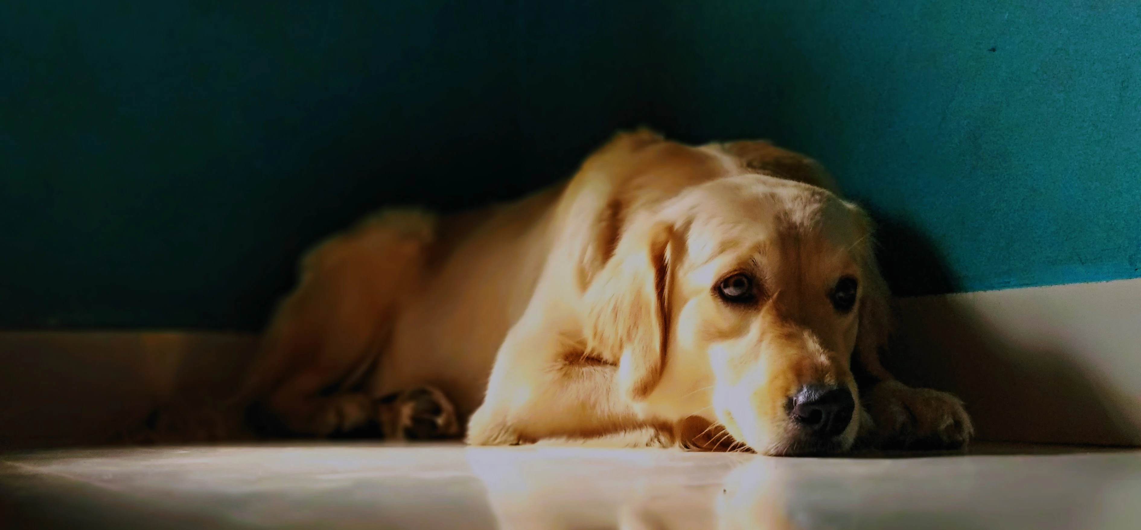 Shiva Prabhakaran cover