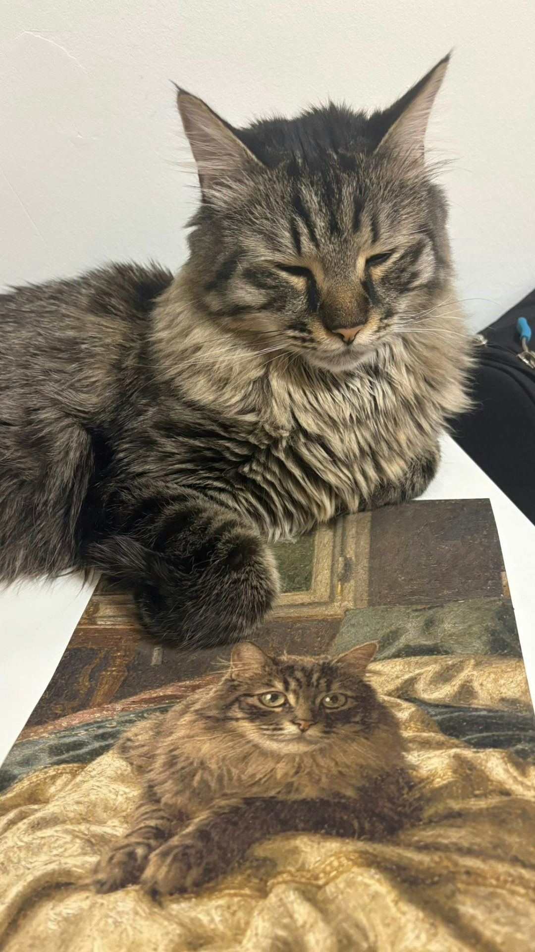 MystiFrame gallery image