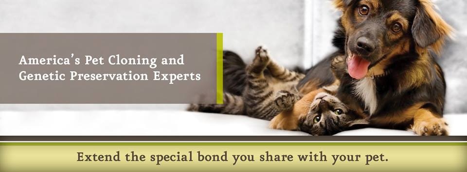 ViaGen Pets Pet cloning and preservation Product Hunt