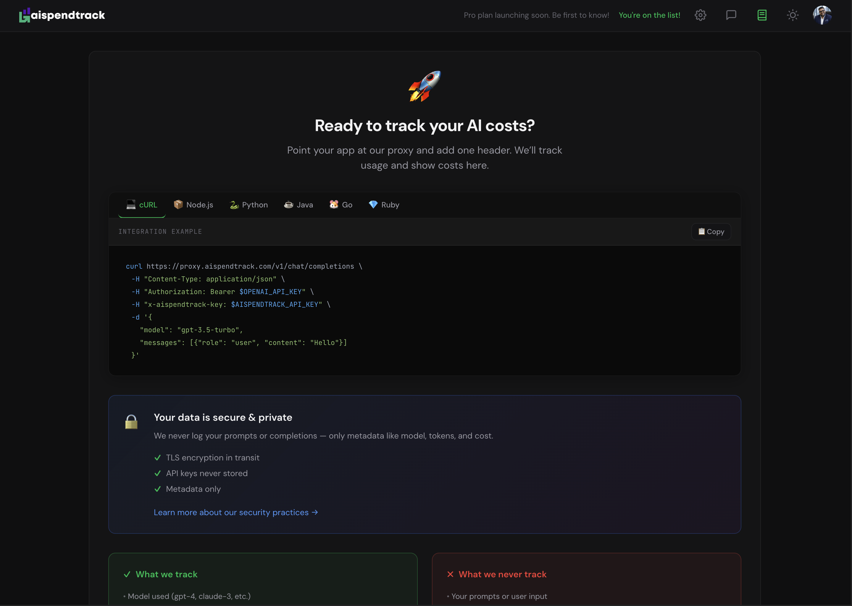 AiSpendTrack gallery image