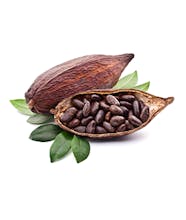 Bencomark Cocoa Beans gallery image