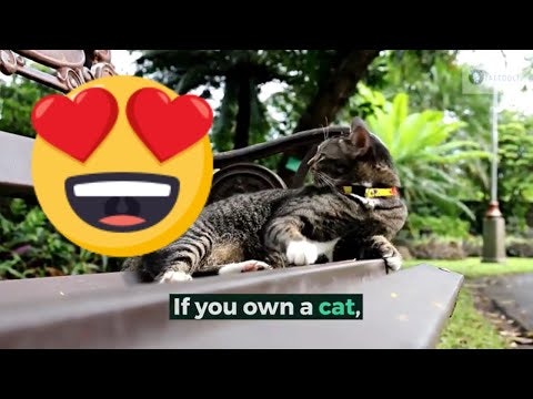 Tatoo meanings and designs gallery image