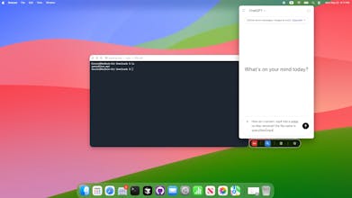 Ctrome gallery image