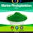 Marine Phytoplankton (25 g)