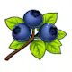 Blueberry Loom