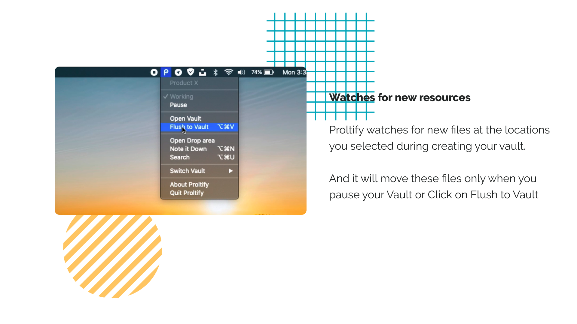 Proltify gallery image
