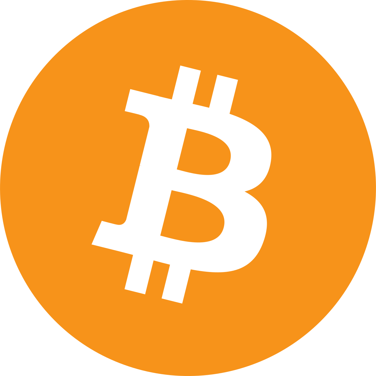 Coinsaylor Vue