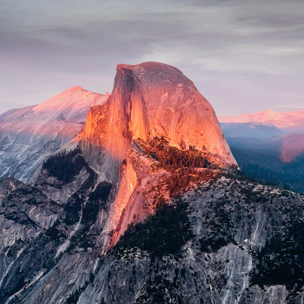 Discover National Parks logo