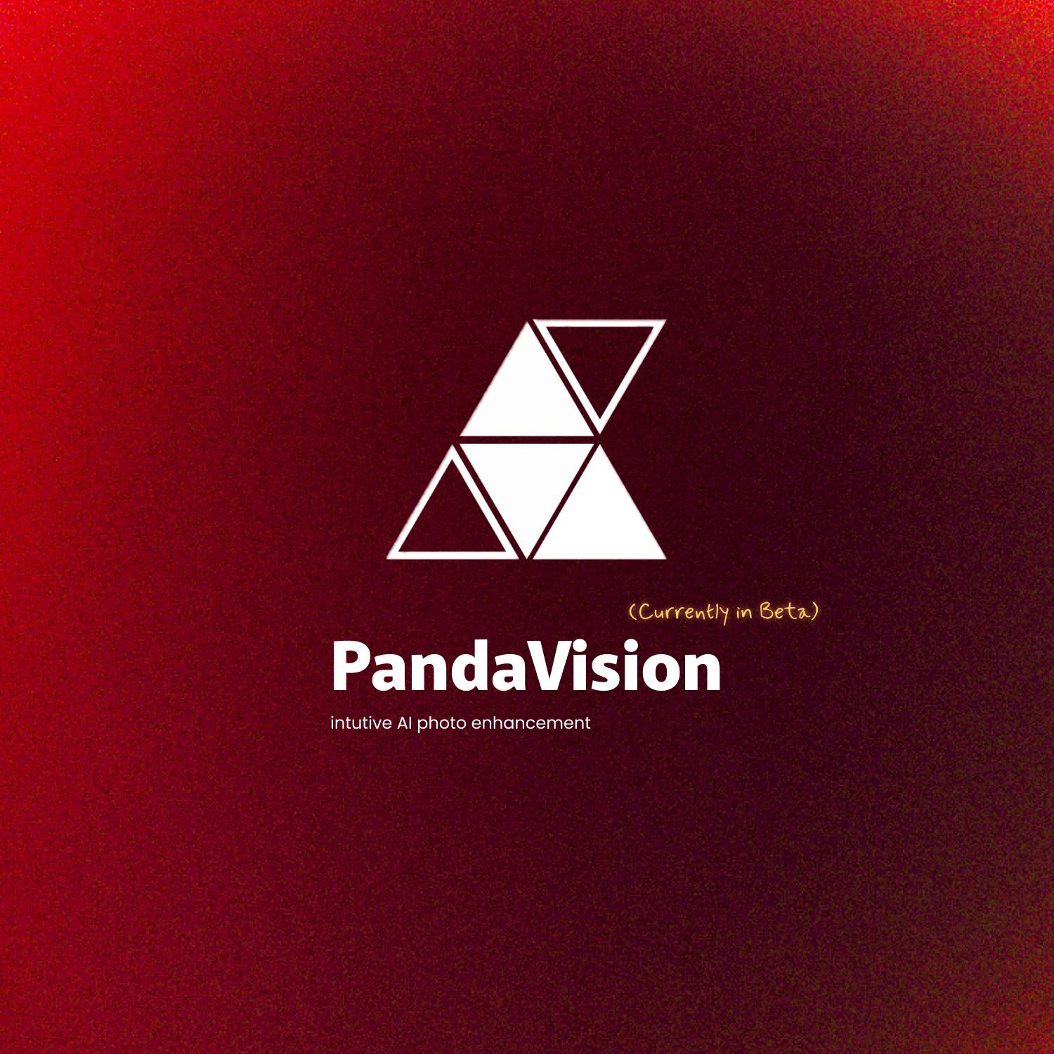 Panda Vision