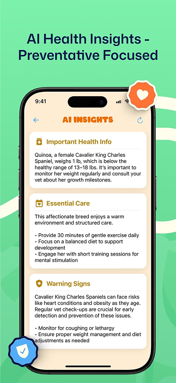 Zibbly gallery image