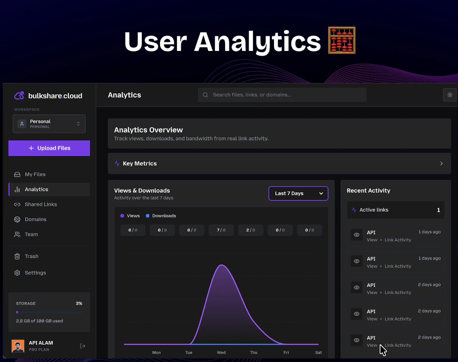 bulkshare.cloud screenshot 3