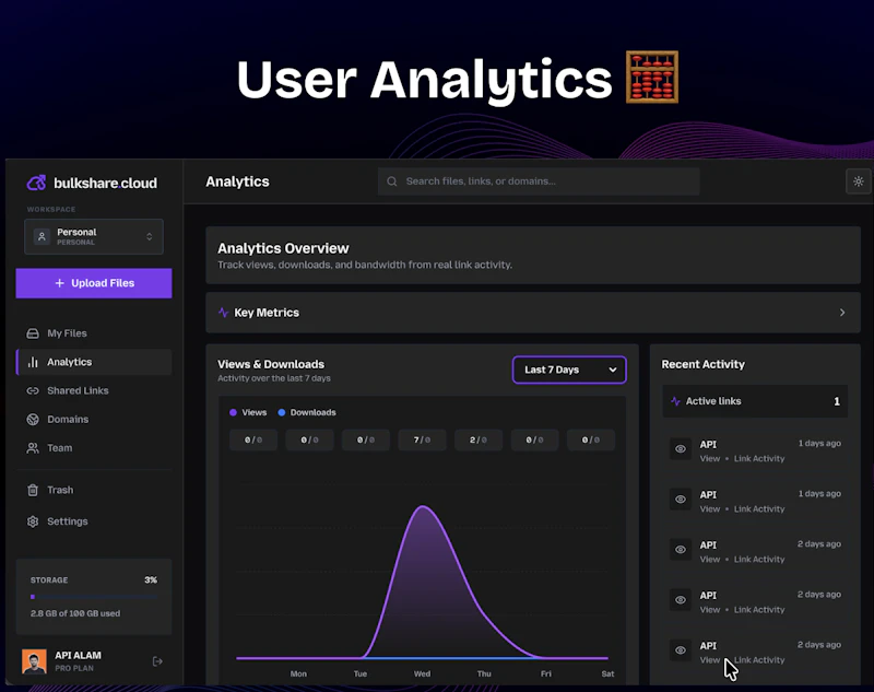 bulkshare.cloud screenshot 3