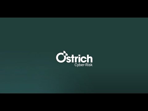 Birdseye™ gallery image