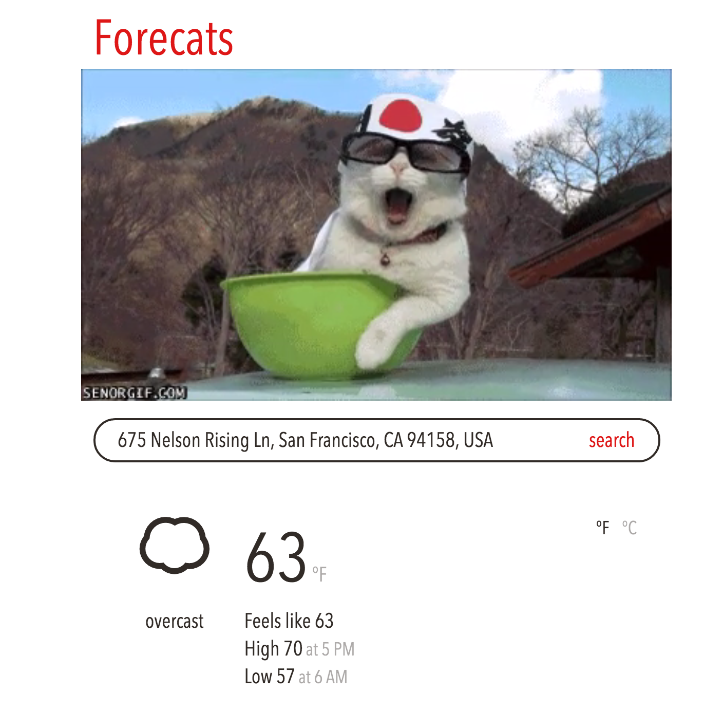 Forecats gallery image