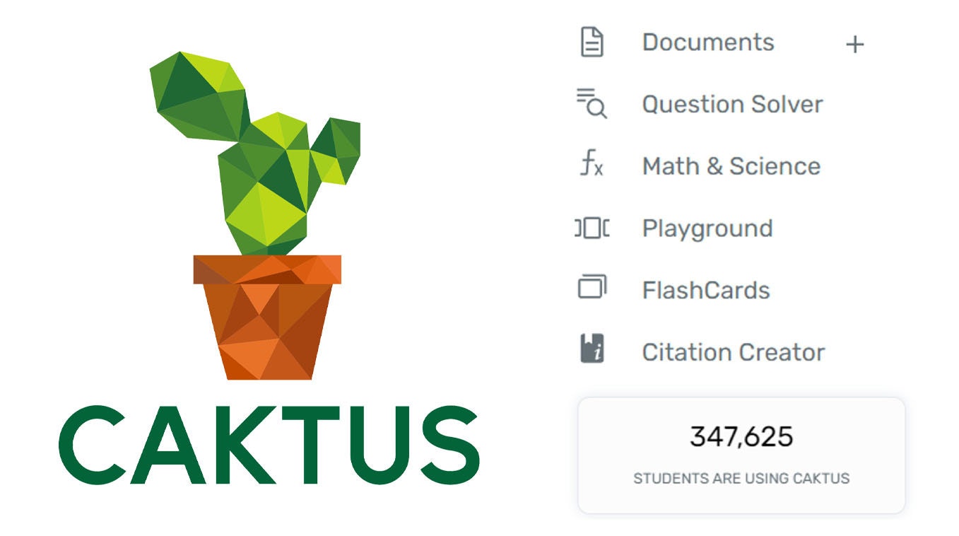 Cactus media 3