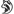 Raccoon