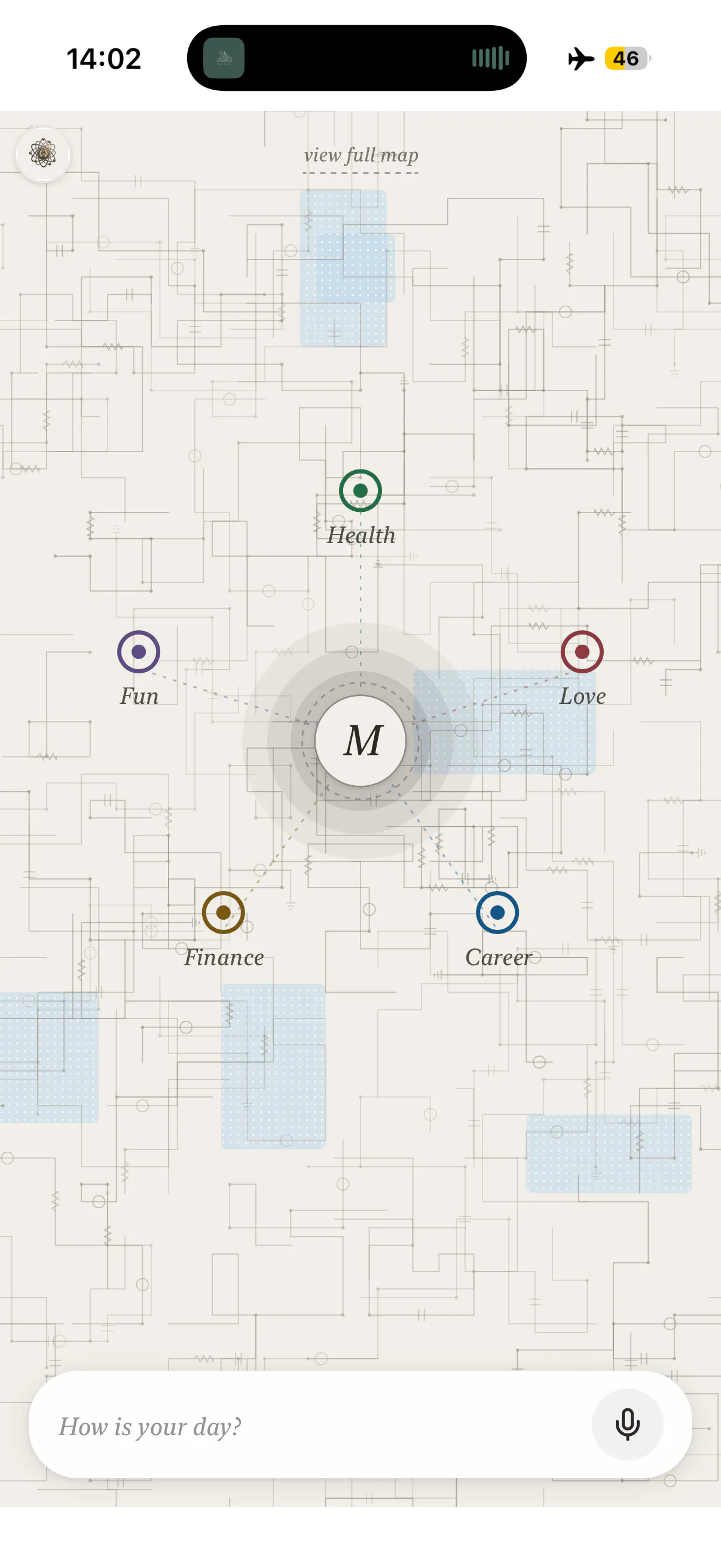 selfmapp.ai gallery image