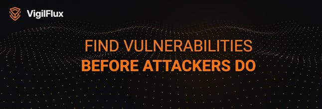 VigilFlux gallery image