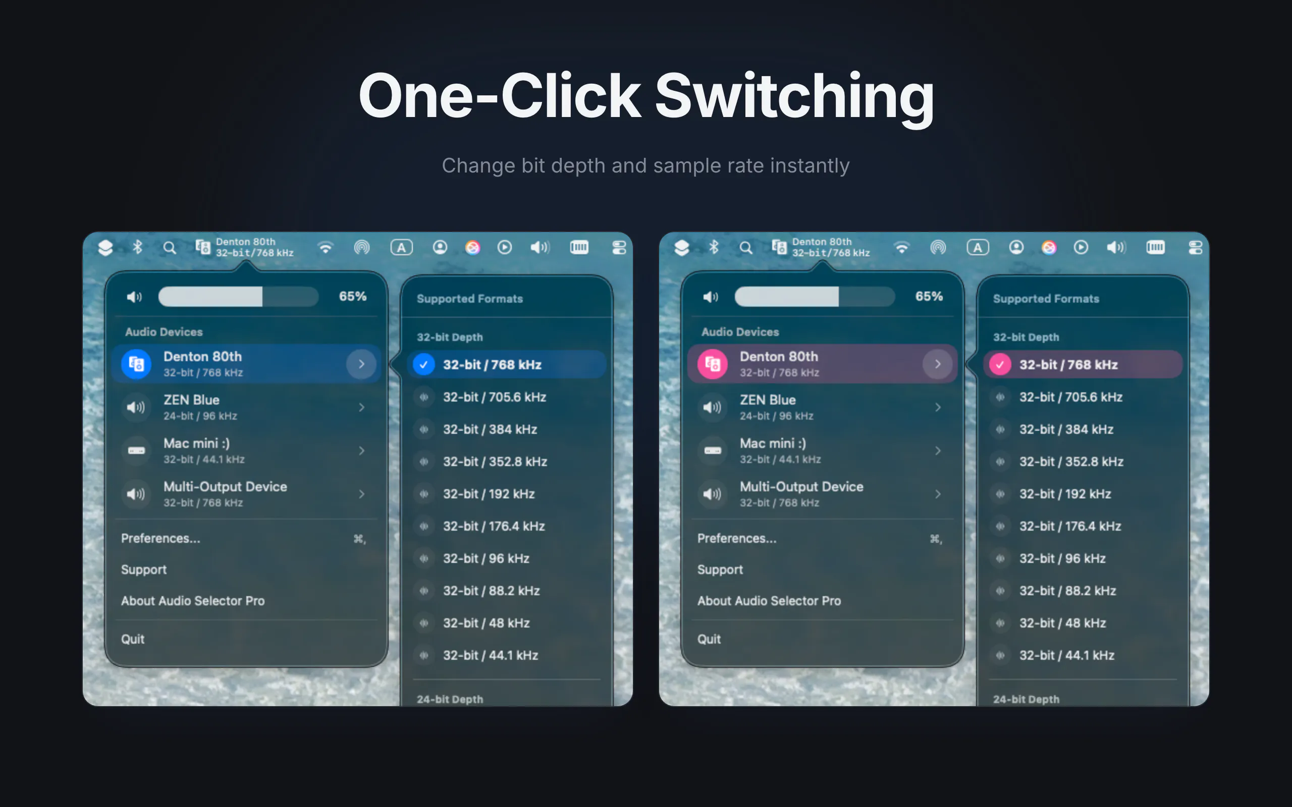 Audio Selector gallery image