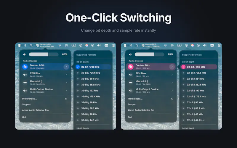 Audio Selector screenshot 2